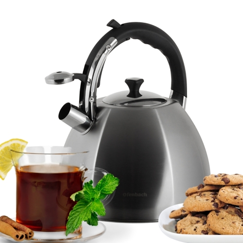 Stalowy czajnik tradycyjny z gwizdkiem na gaz