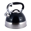 Stalowy czajnik Kamille 2,7 l z ergonomicznym uchwytem Soft Touch